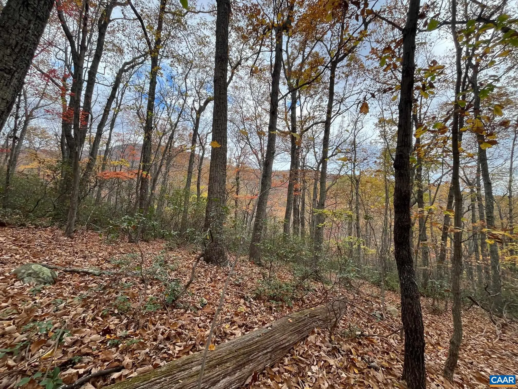 Tree House Pl, Nellysford