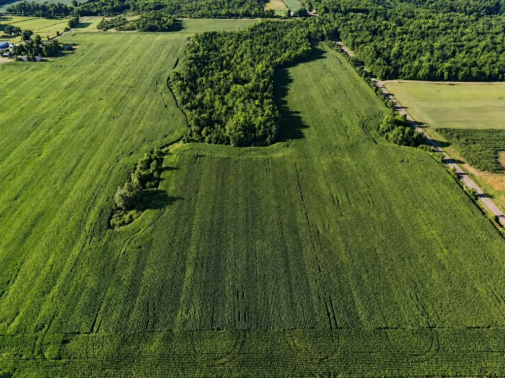 110th Street, Frederic
