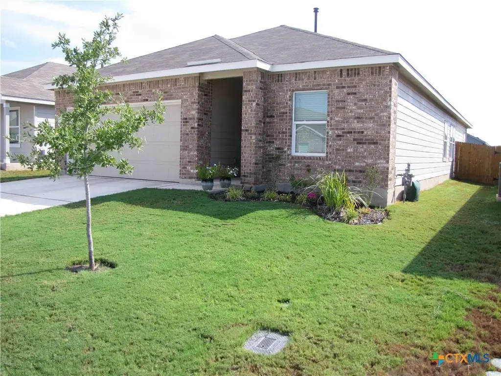 9173 Saint Jerome, Seguin