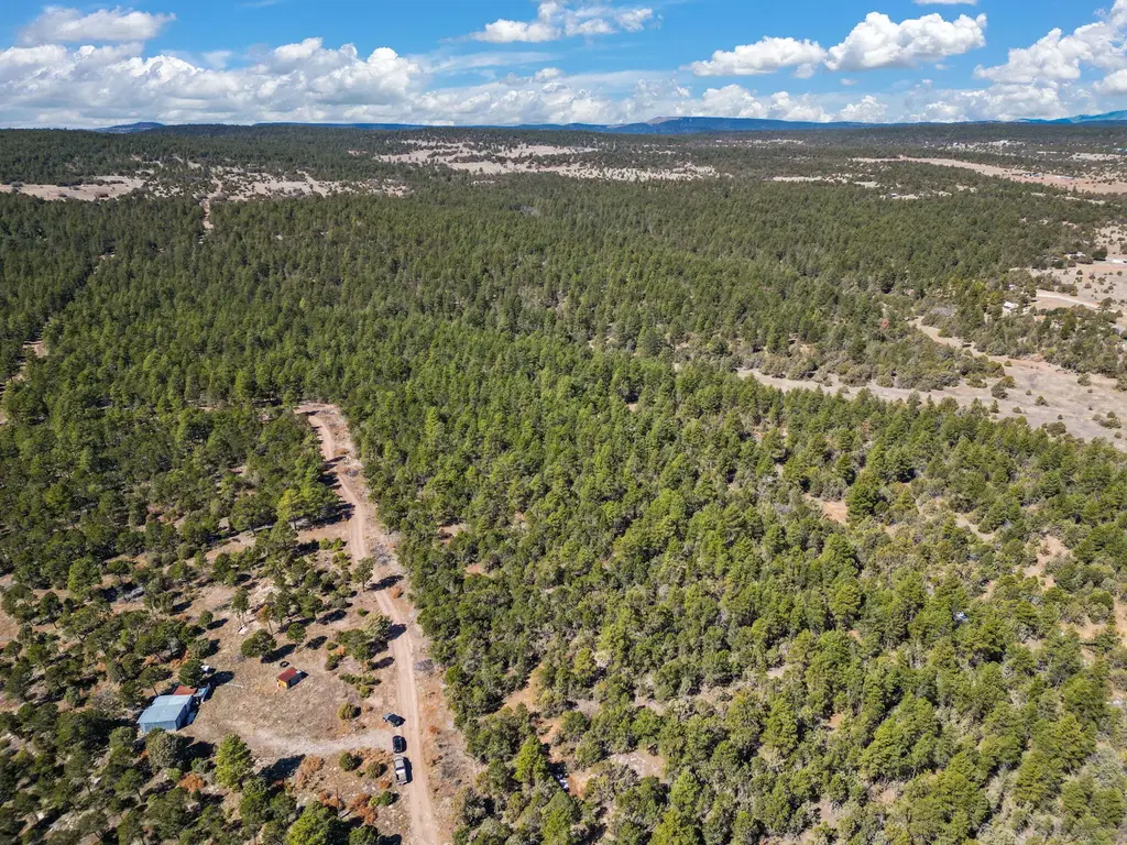 Raquel Road, Tijeras