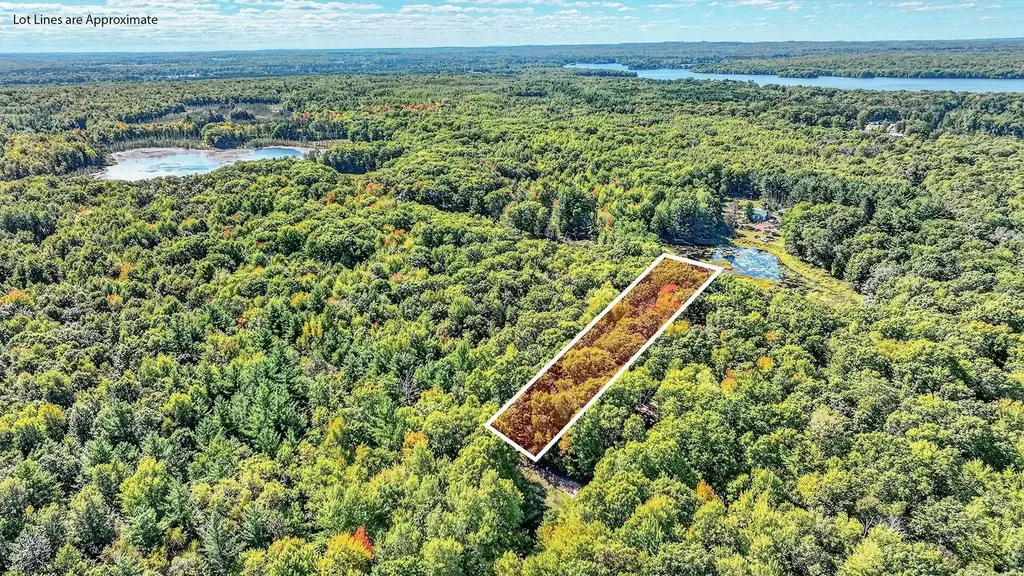 Lot 2 On 290th Avenue, Holcombe