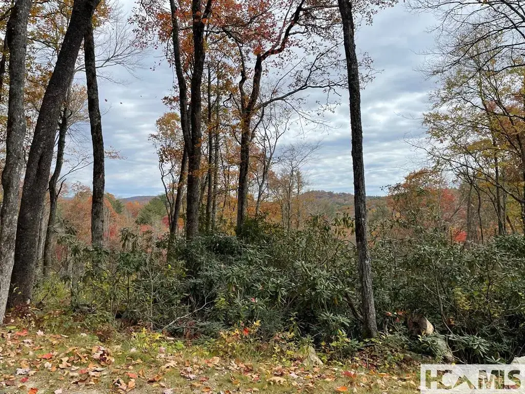 11 Glencove Drive, Cashiers