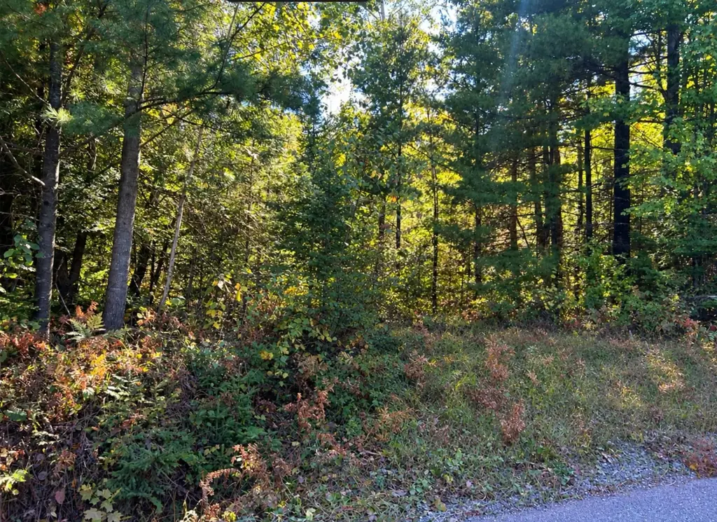 5 Ac On Tower Rd, Phillips