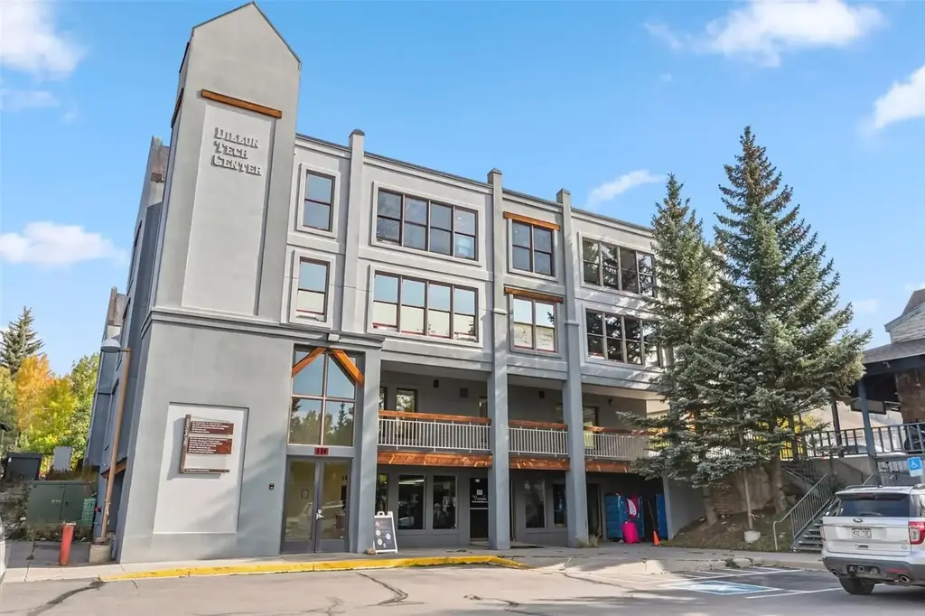 114 Village Place 101, 102, Dillon