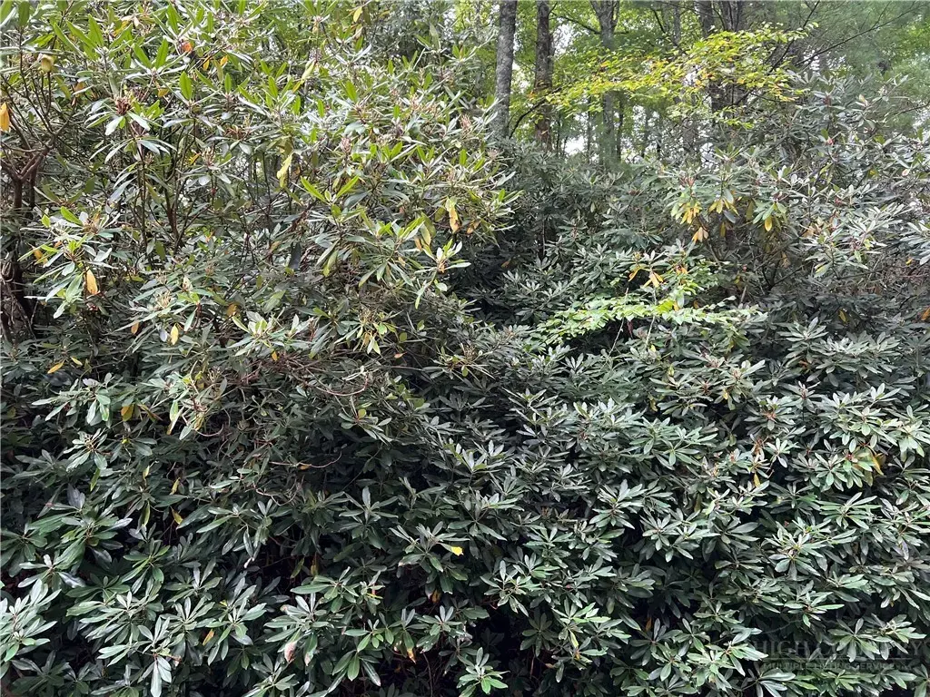 Lots 22 & 23 High Ridge Lane, Blowing Rock