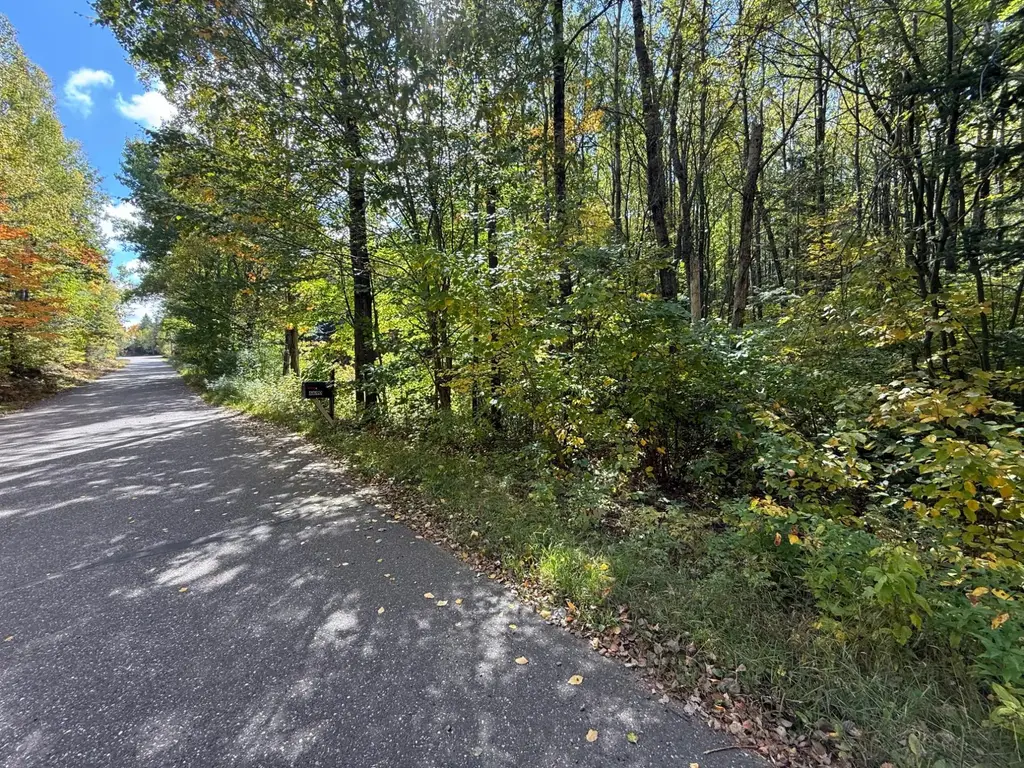1.24 Lot Swamsauger Heights Rd, Tripoli
