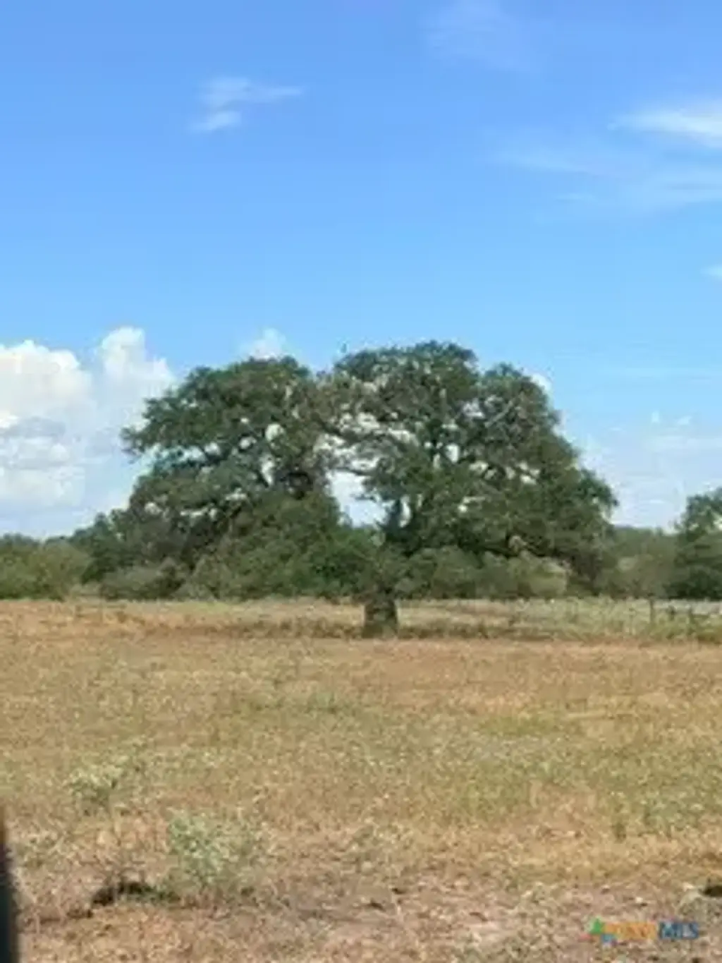 Mission Valley Rd Road, Cuero
