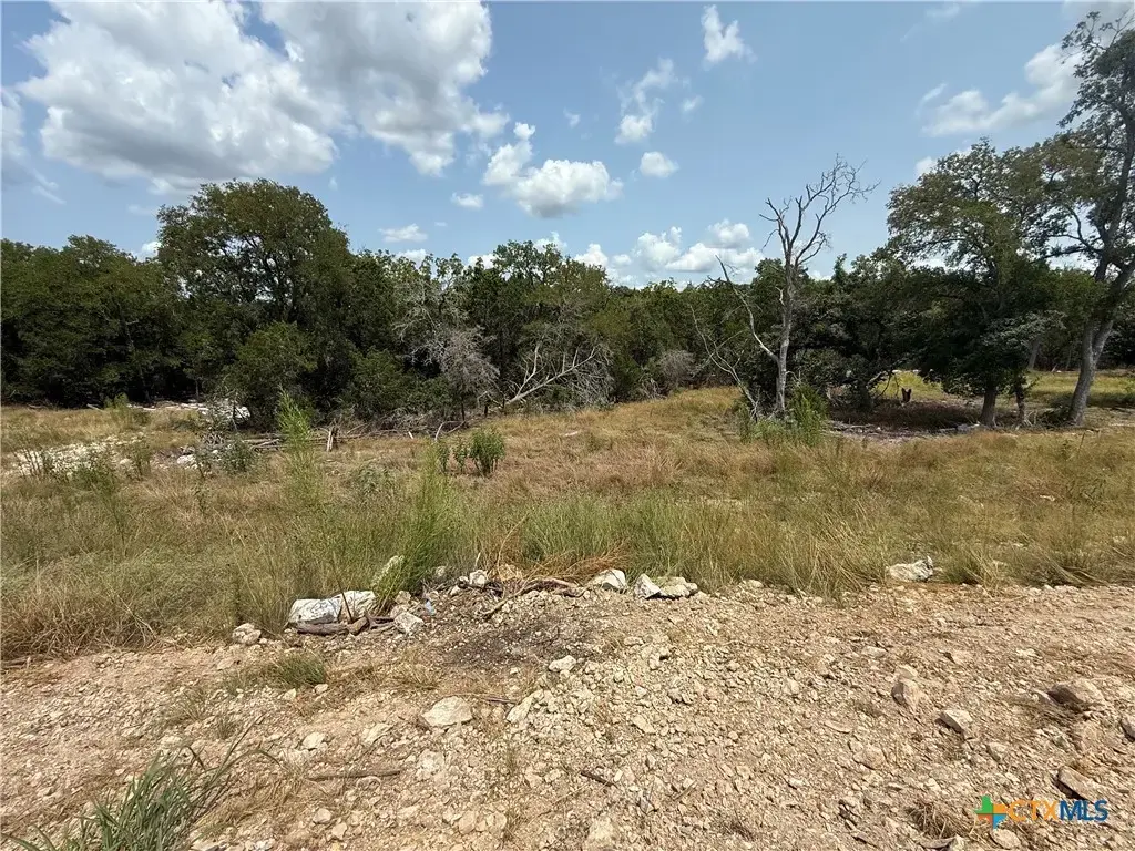 1432 Stahlman Way, New Braunfels
