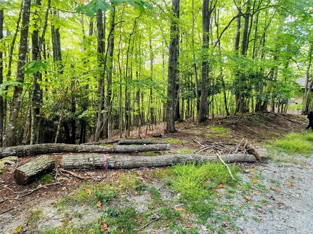 103 Spicewood Lane, Beech Mountain