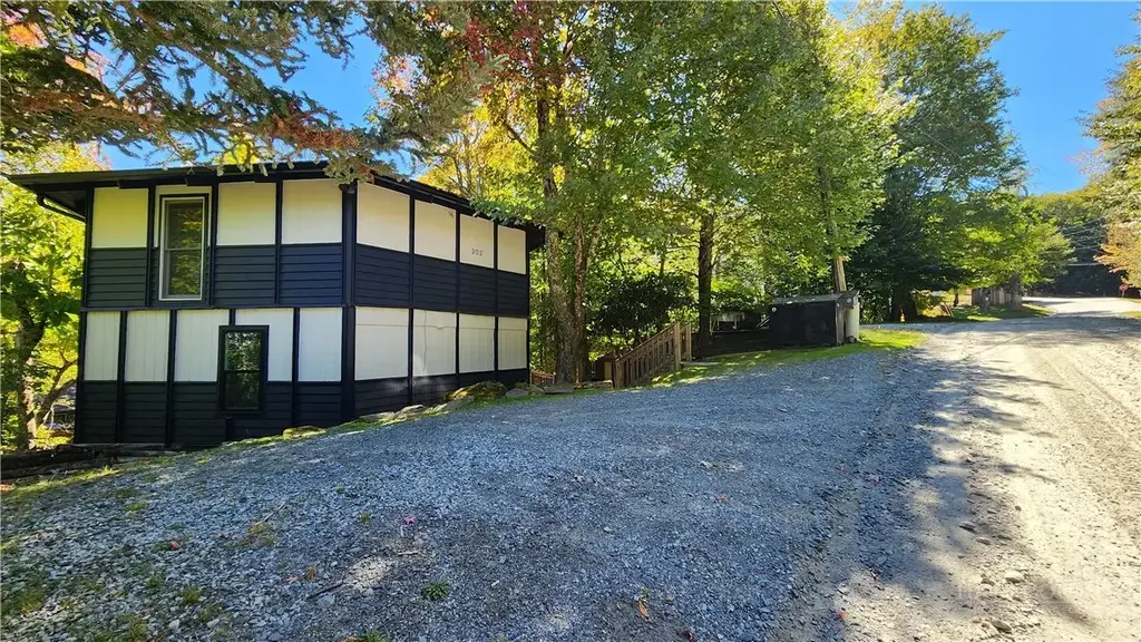 202 Birchwood Lane, Beech Mountain