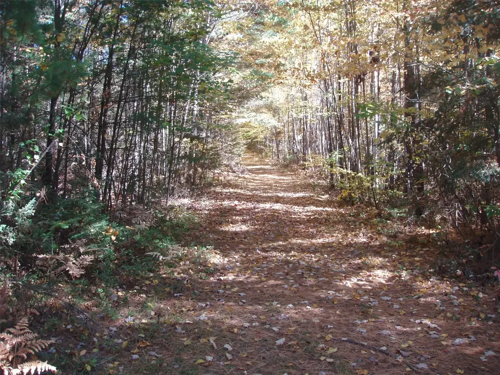 40+/- Acres Off Brimstein Road, Park Falls