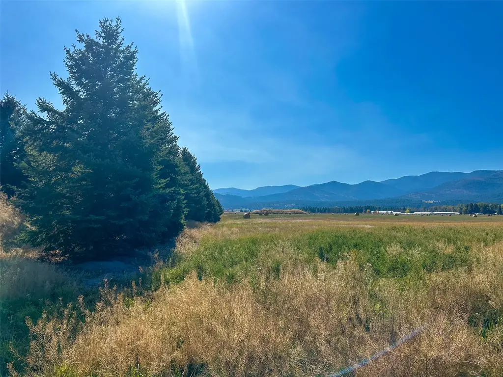 Nhn Picea Place Lot 12, Plains