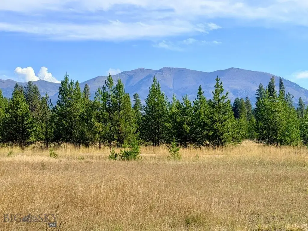 422 Daisy Lane, Seeley Lake