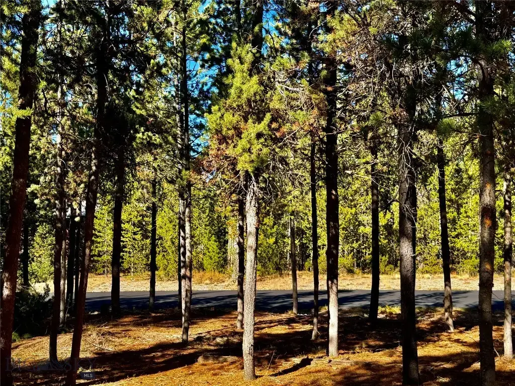 612 Apollinaris Avenue, West Yellowstone