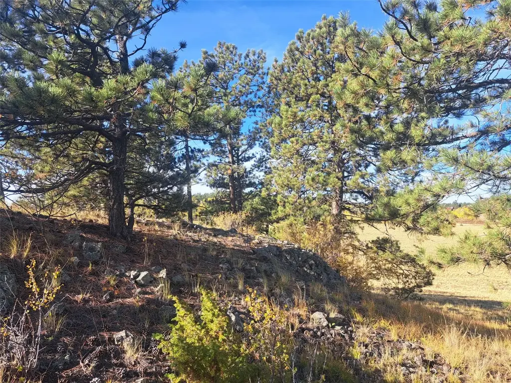 2151 County Road 403, Lake George