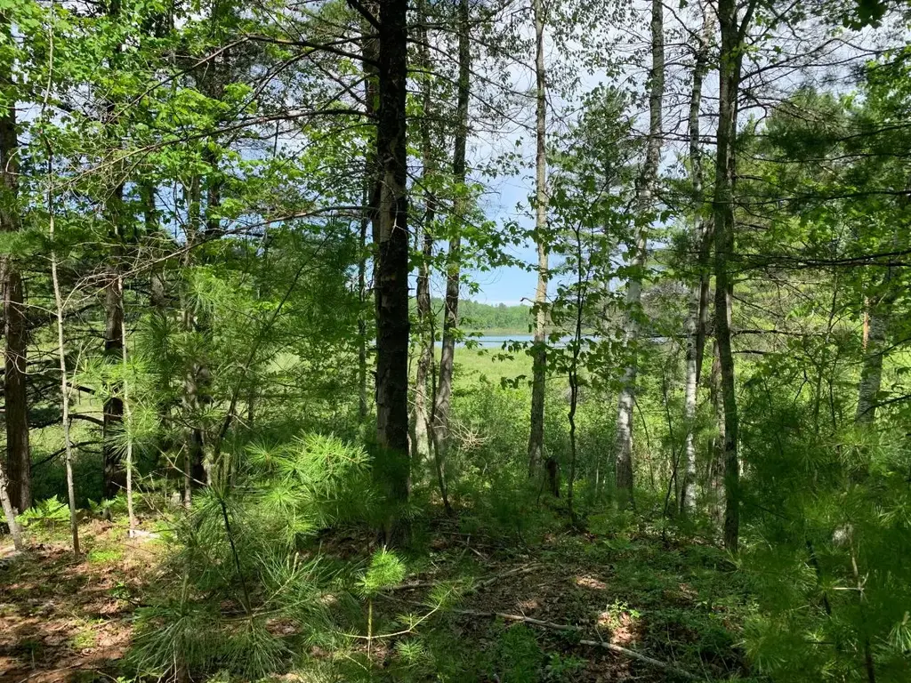 Lot 1 Somo Ridge Dr, Tomahawk