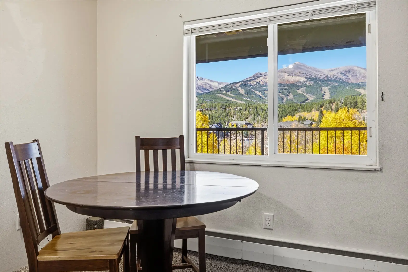 301 N French Street 308, Breckenridge