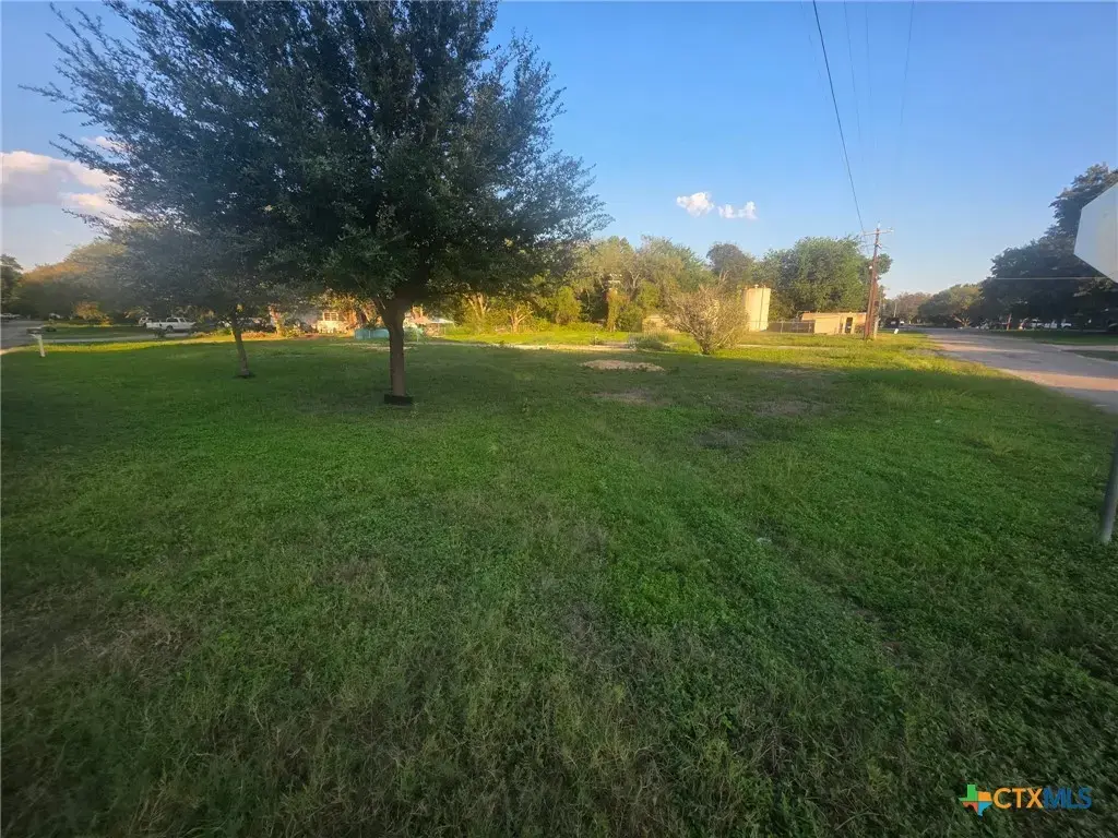309 Willow Drive, McQueeney