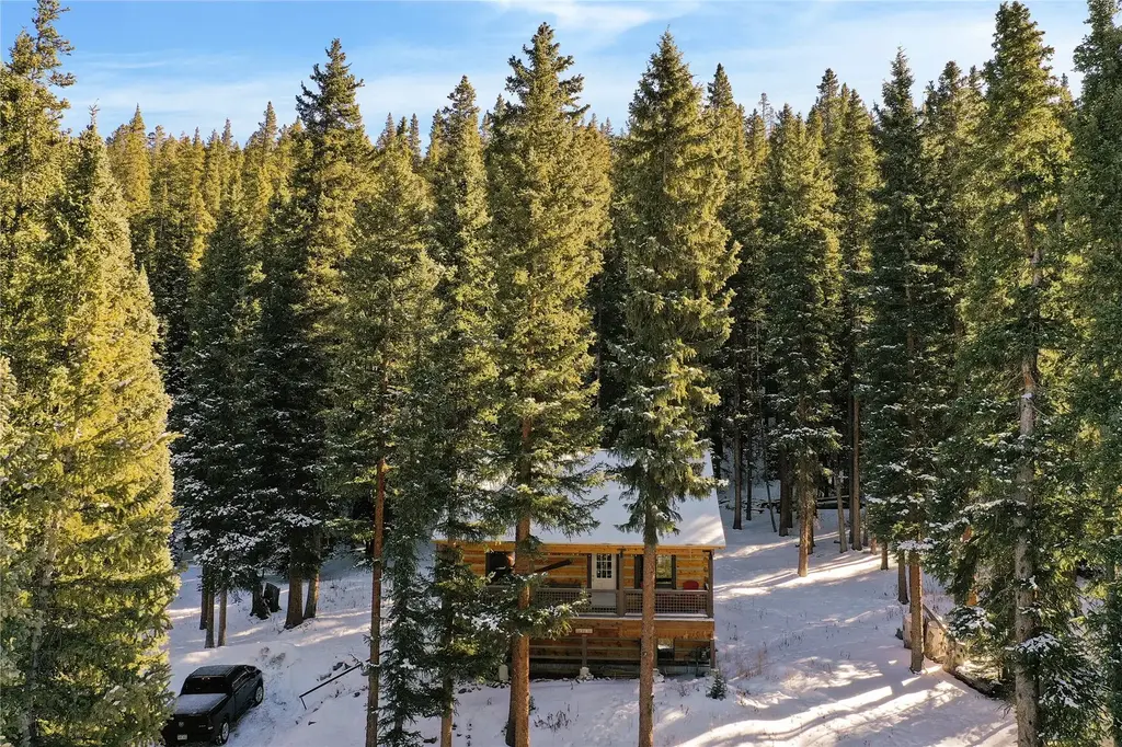 0516 County Road 674, Breckenridge