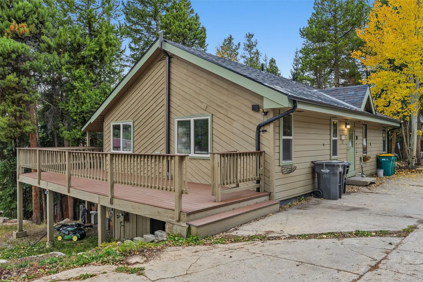 1310 Baldy Road C, Breckenridge