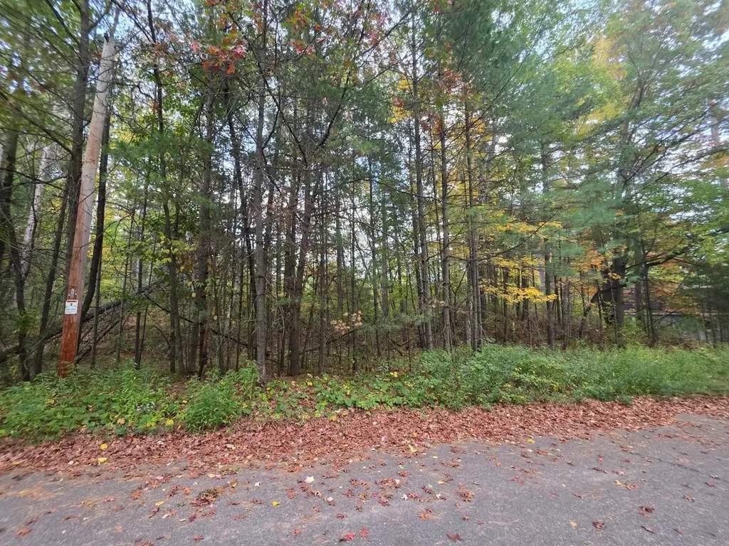 Lot19-20 Putnam St, Tomahawk