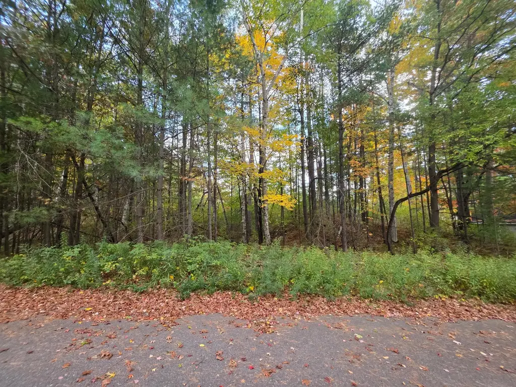 Lot1-2 Putnam St, Tomahawk
