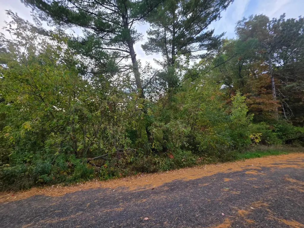 9 Lots Mckinley St, Tomahawk