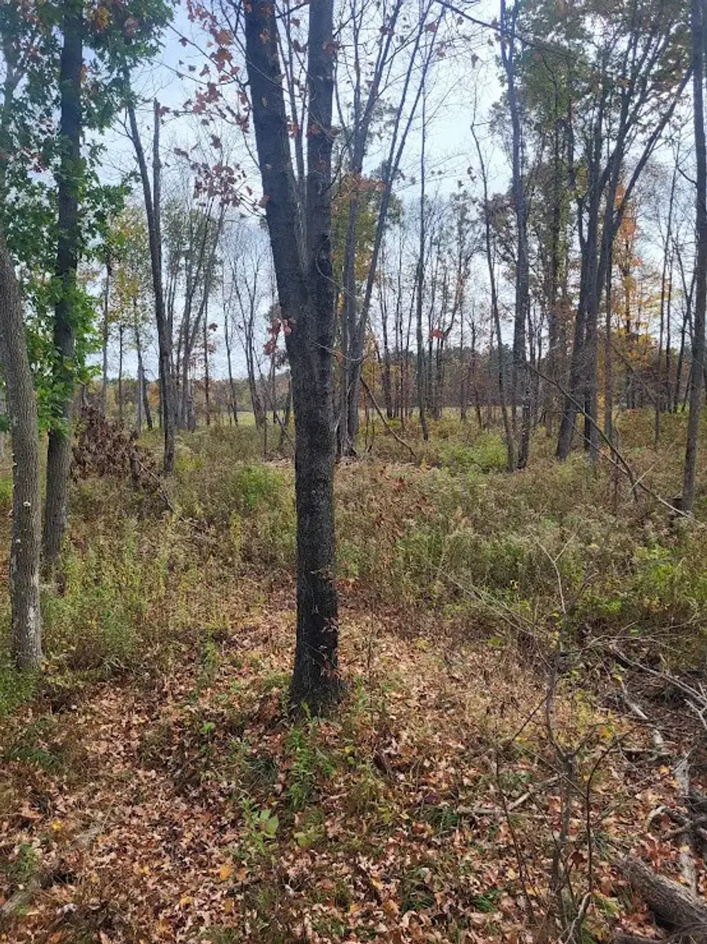 W7943 Moonlite Rd., Neillsville