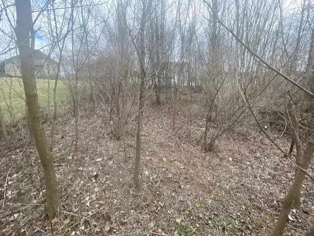 Long Meadow Rd, Fishersville