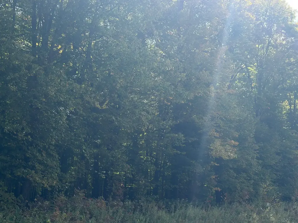 On Pine Creek Rd, Park Falls