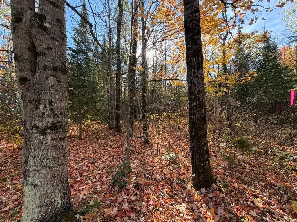 Lot 7 Long Rd, Mercer