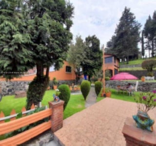 Photo of Listing #A11835129