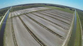 Photo of Listing #A11849267