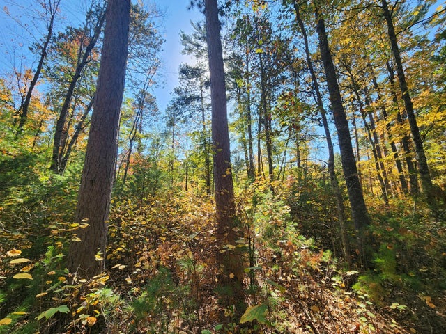 1.7 Ac Hwy 70, St Germain