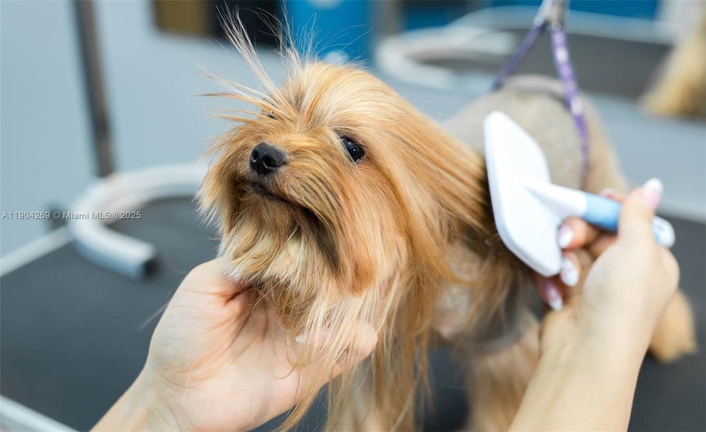 Pet Grooming, Pompano Beach