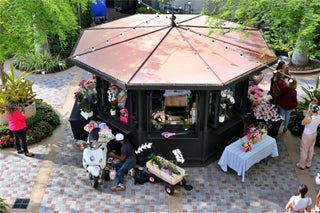 Photo of Listing #A11932523