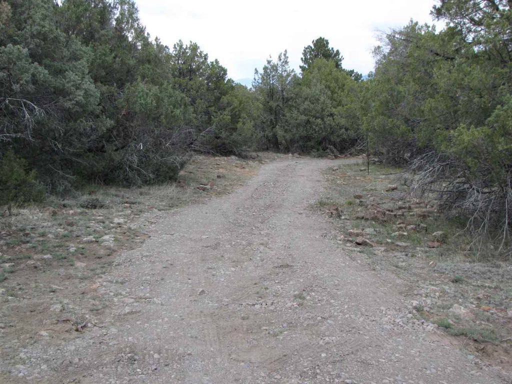 Sigler Tract, Rutheron Property Listing MLS® 201702805