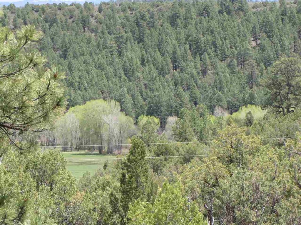 Sigler Tract, Rutheron Property Listing MLS® 201702805