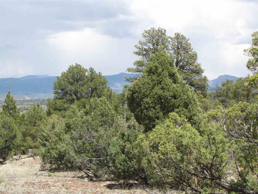 Sigler Tract, Rutheron Property Listing MLS® 201702805