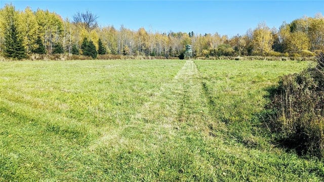 Holcombe, WI Land for Sale - LandBin.com