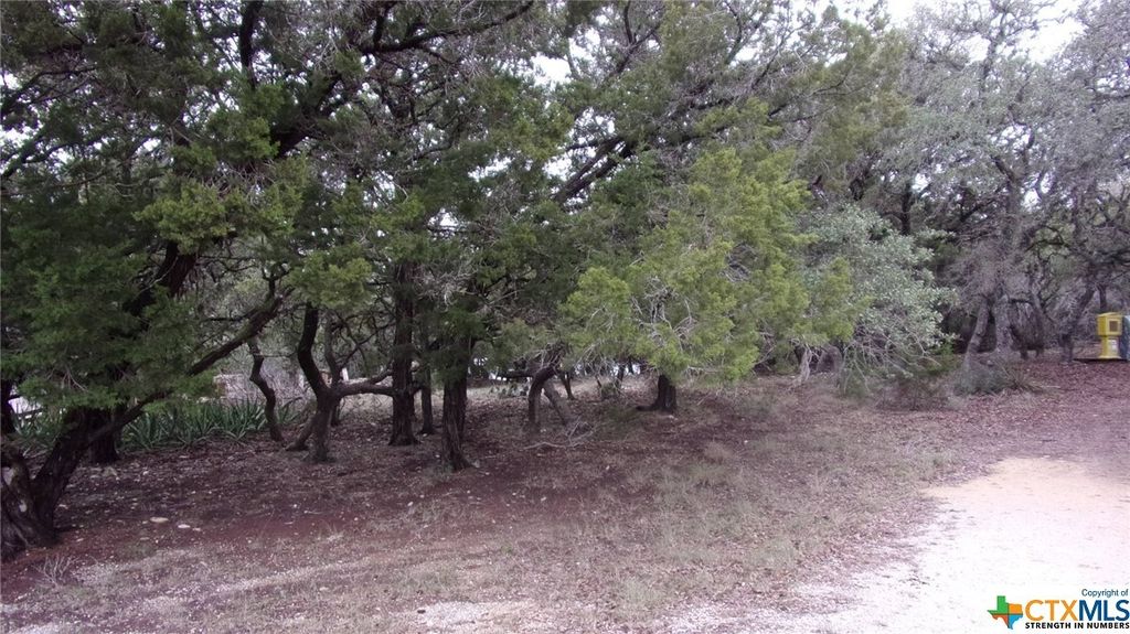 Lot 46 Mountain Wood, Canyon Lake Property Listing: MLS® #494085