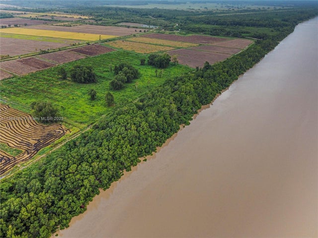 2 of 28 - Suriname, , 