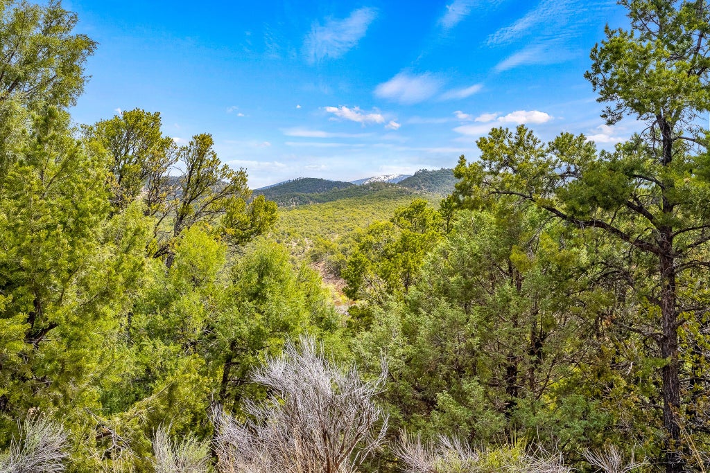 1417 Tesuque Creek, Santa Fe Property Listing MLS® 202338008
