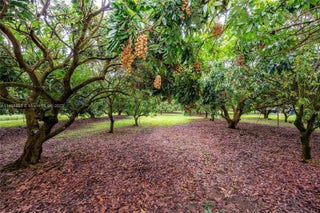 Photo of Listing #A11406395