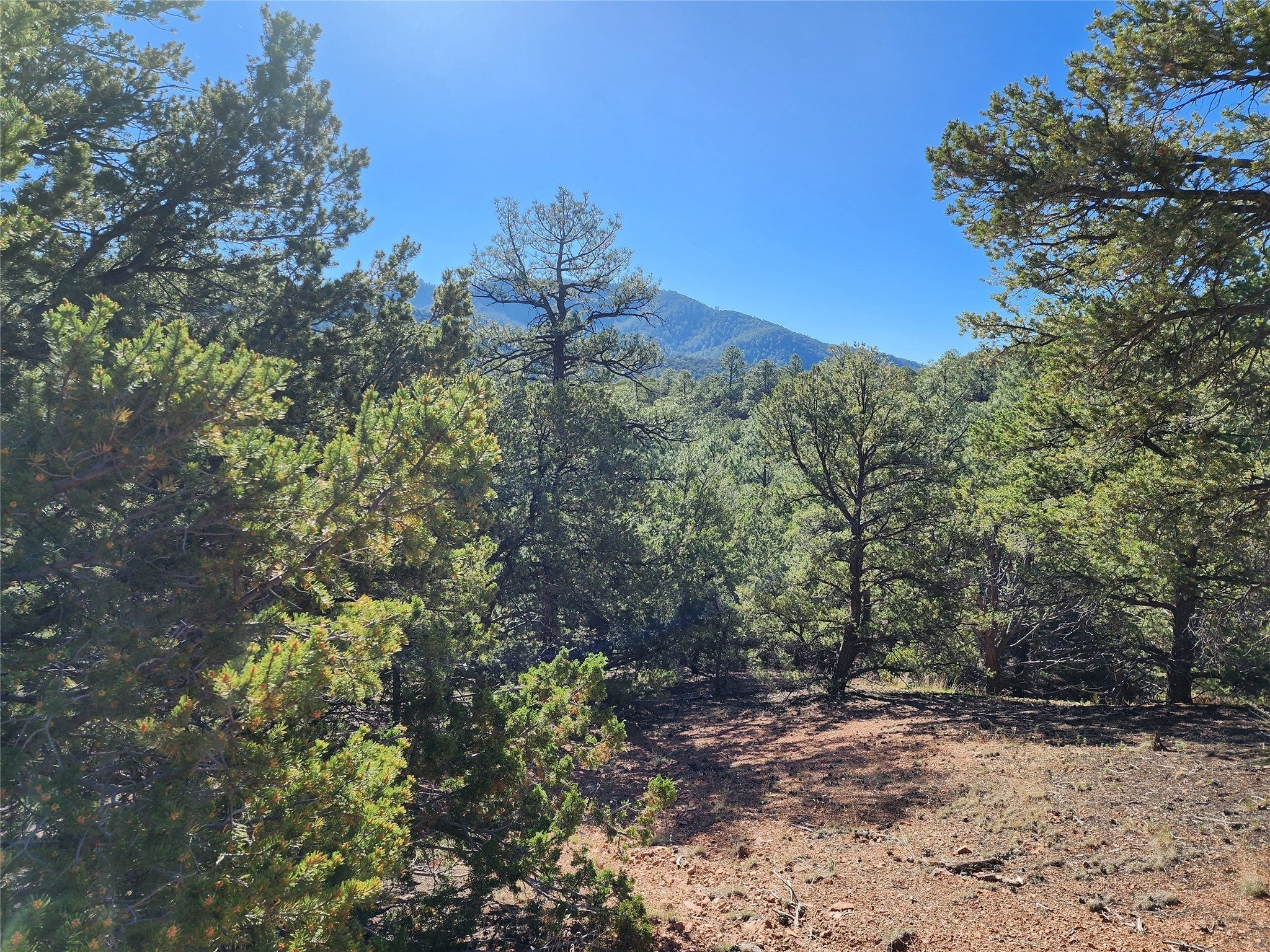 Santa Fe Real Estate & Santa Fe Homes for Sale Santa Fe, NM 500000