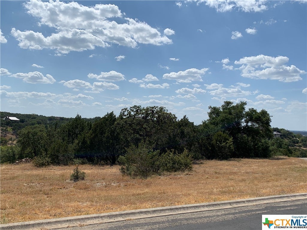 Canyon Lake Waterfront Lots and Properties For Sale