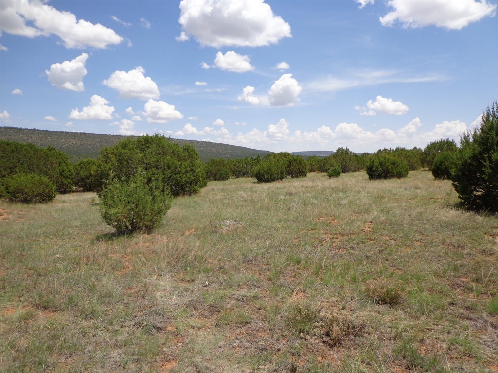Tracts 16 & 9 Santa Fe Trail Ranches, Las Vegas Property Listing MLS