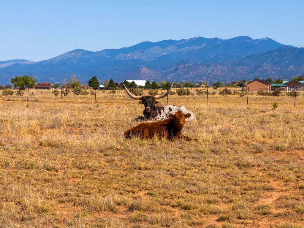 4006 Nm 14, Santa Fe Property Listing MLS® 202341339