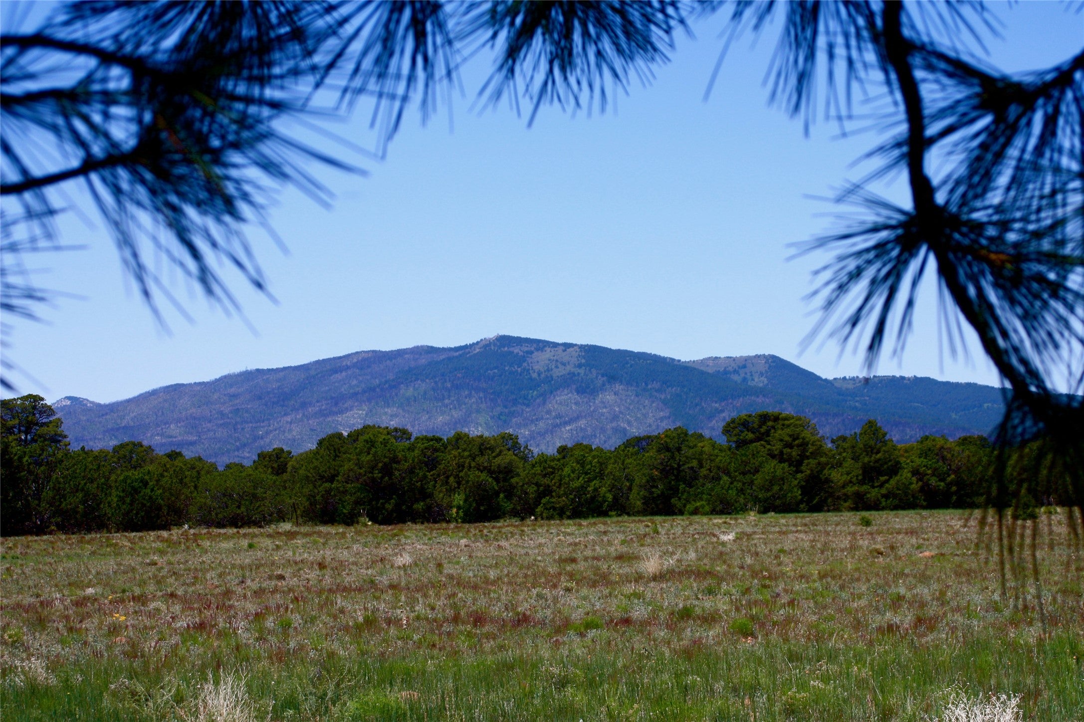 Santa Fe Horse Properties For Sale In Santa Fe, NM Santa Fe Properties