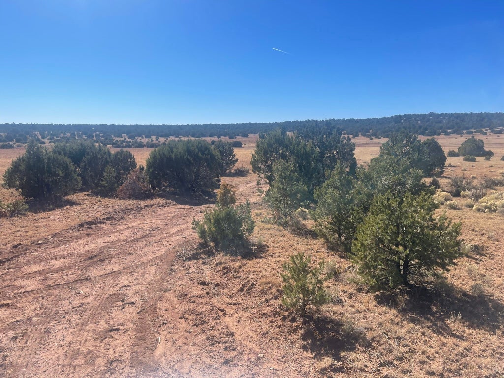  Ojo De La Vaca, Santa Fe Property Listing MLS® 202341600